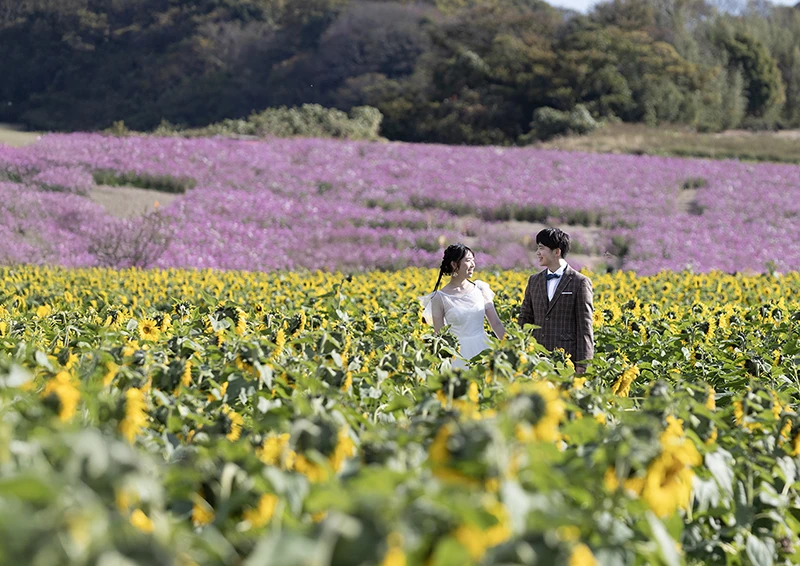 「観光農園花ひろば」愛知県南知多町でフォトウェディング（結婚式前撮り）