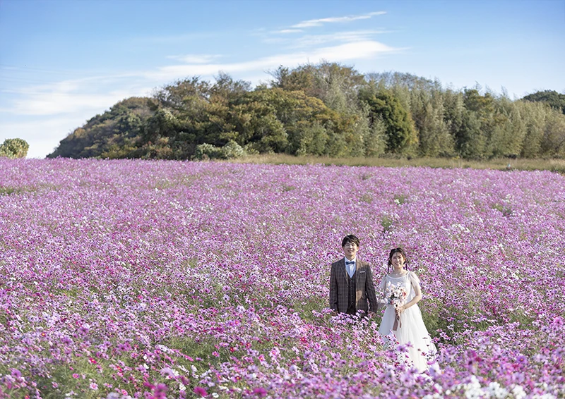 「観光農園花ひろば」愛知県南知多町でフォトウェディング（結婚式前撮り）